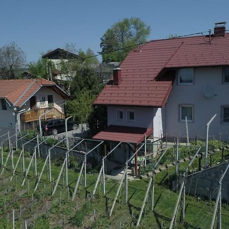Apartment House Sumrak Bizeljsko Kültér fotó