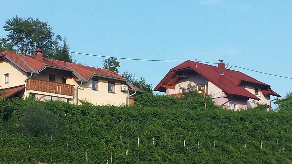 Apartment House Sumrak Bizeljsko Kültér fotó